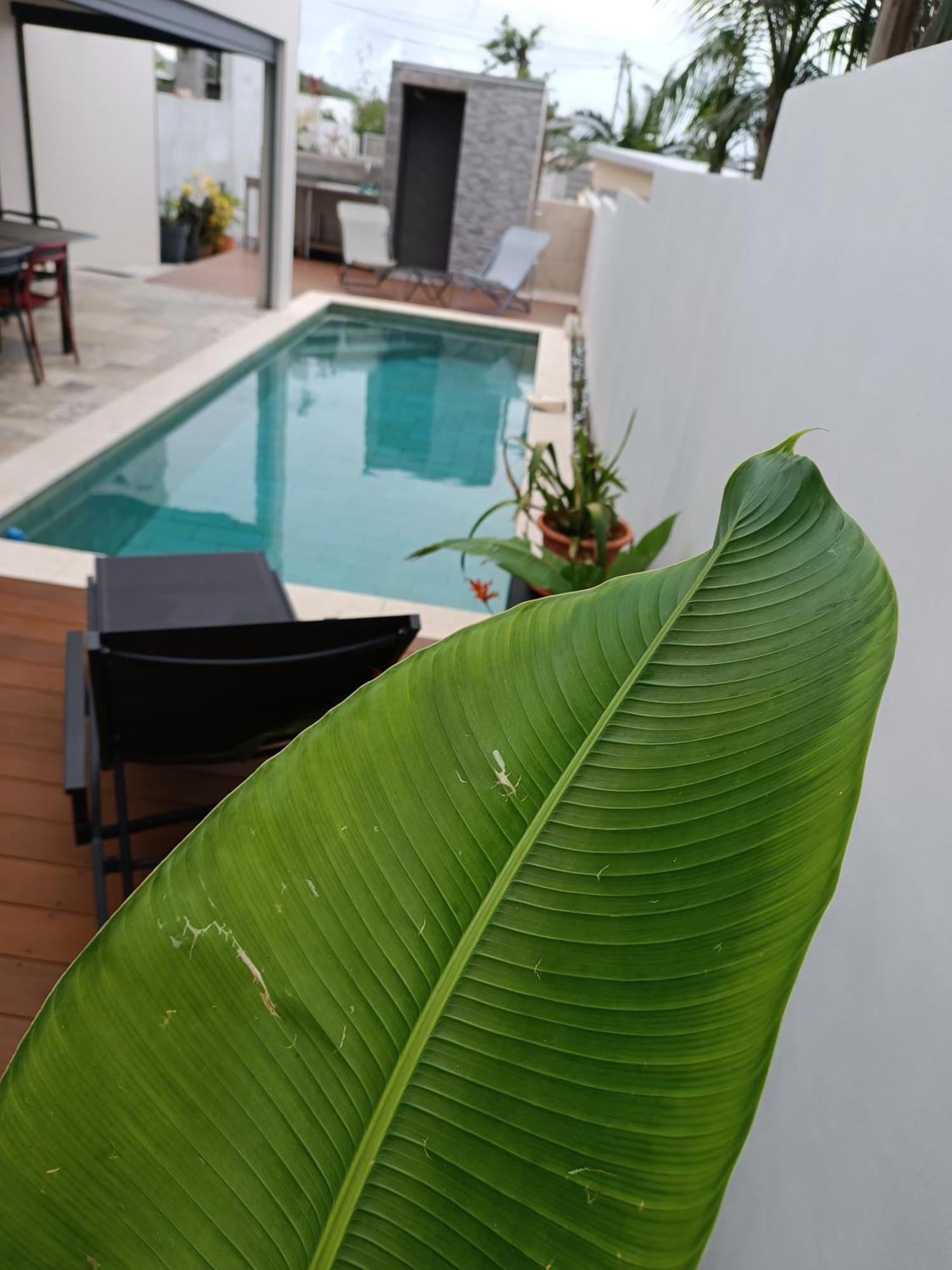 Villa O'Lhaya Piscine Pivee Saint-Joseph Buitenkant foto