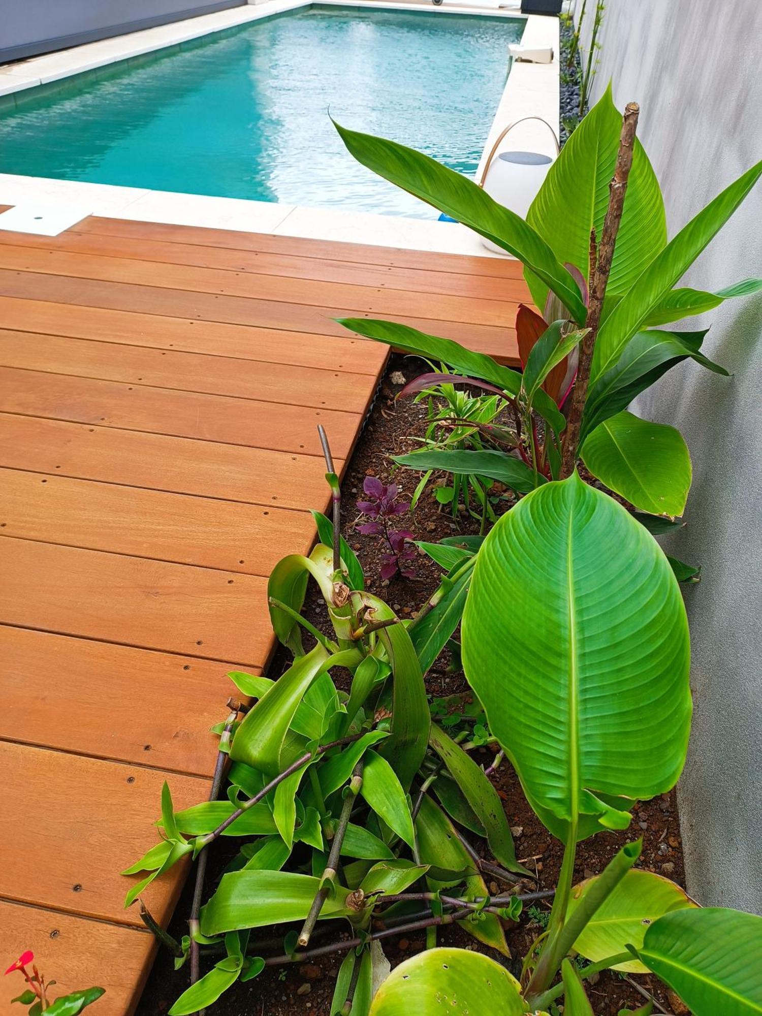 Villa O'Lhaya Piscine Pivee Saint-Joseph Buitenkant foto